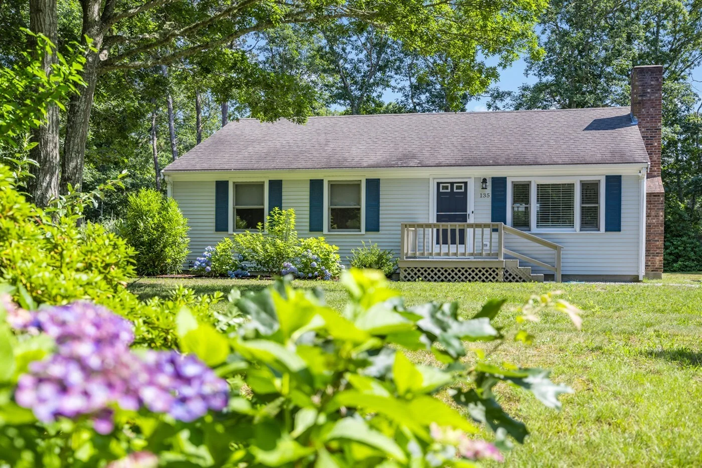 Hydrangeas blooming in front of Cherrystone